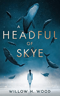 A Headful of Syke front cover